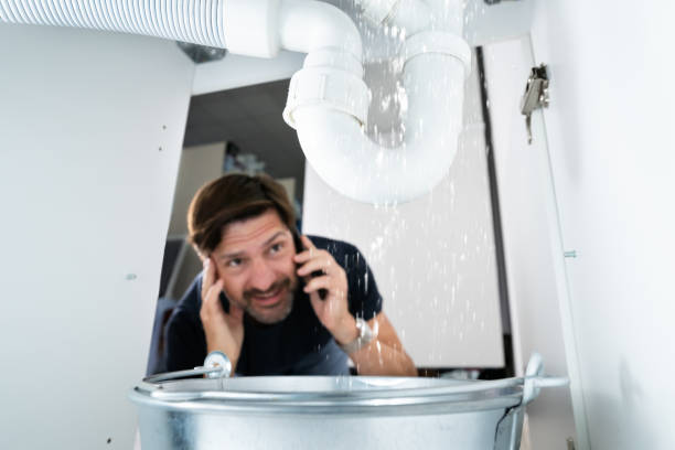 Best Local Plumber Services  in Owensville, IN